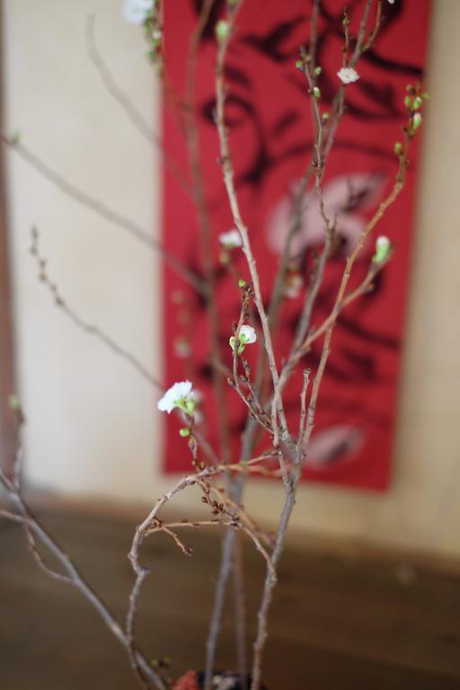Kanazawa Tabi-Ne Экстерьер фото